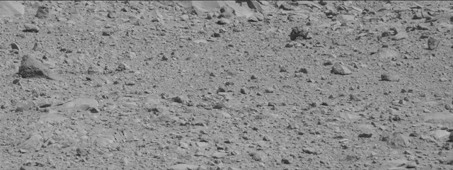 Sol 494: Mast Camera (Mastcam)