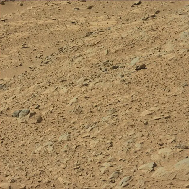 Sol 494: Mast Camera (Mastcam)