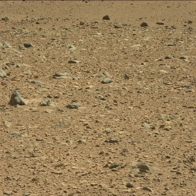 Sol 494: Mast Camera (Mastcam)