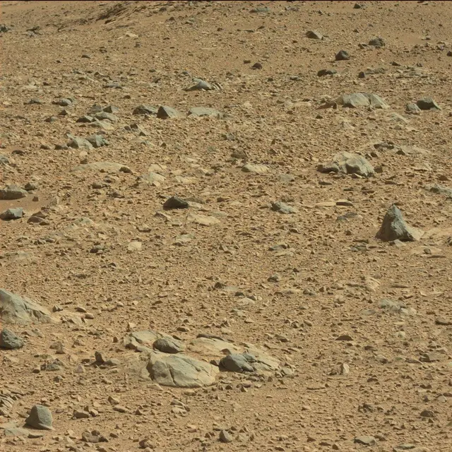 Sol 494: Mast Camera (Mastcam)