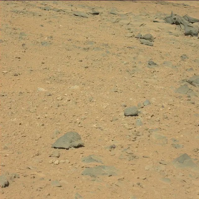 Sol 494: Mast Camera (Mastcam)