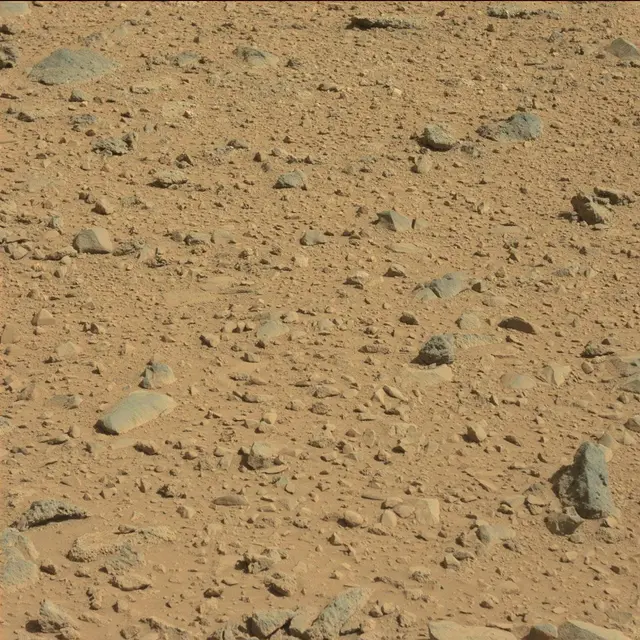 Sol 494: Mast Camera (Mastcam)