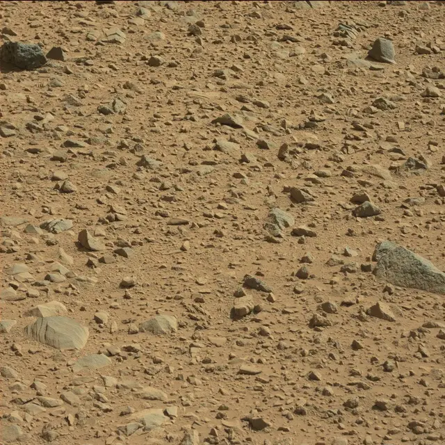 Sol 494: Mast Camera (Mastcam)