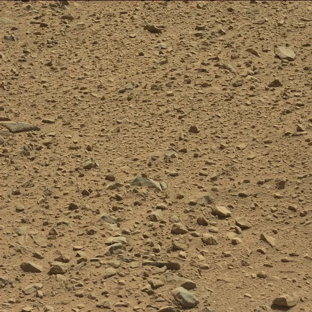 Sol 494: Mast Camera (Mastcam)