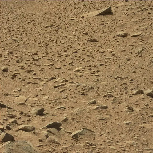 Sol 494: Mast Camera (Mastcam)