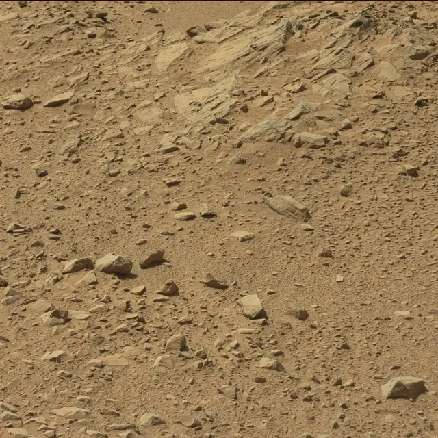 Sol 494: Mast Camera (Mastcam)