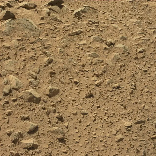 Sol 494: Mast Camera (Mastcam)