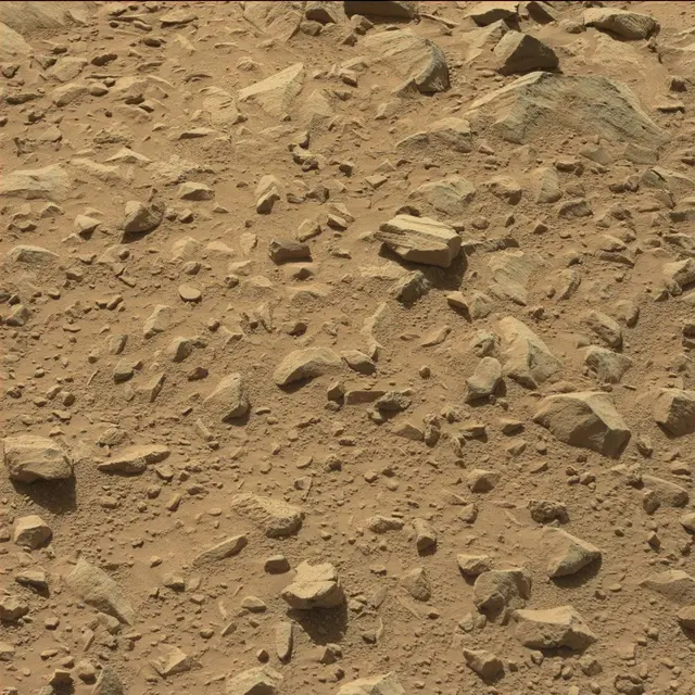 Sol 494: Mast Camera (Mastcam)
