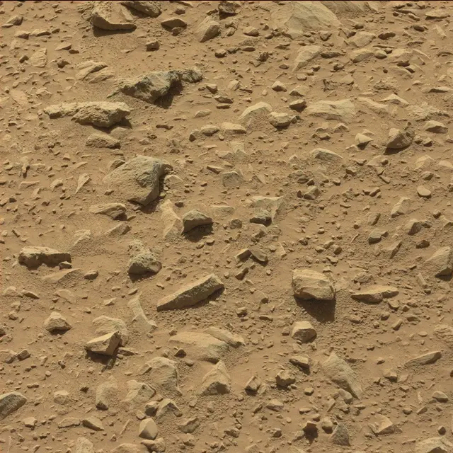 Sol 494: Mast Camera (Mastcam)