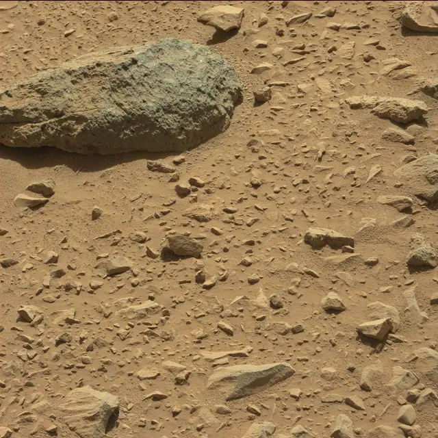 Sol 494: Mast Camera (Mastcam)