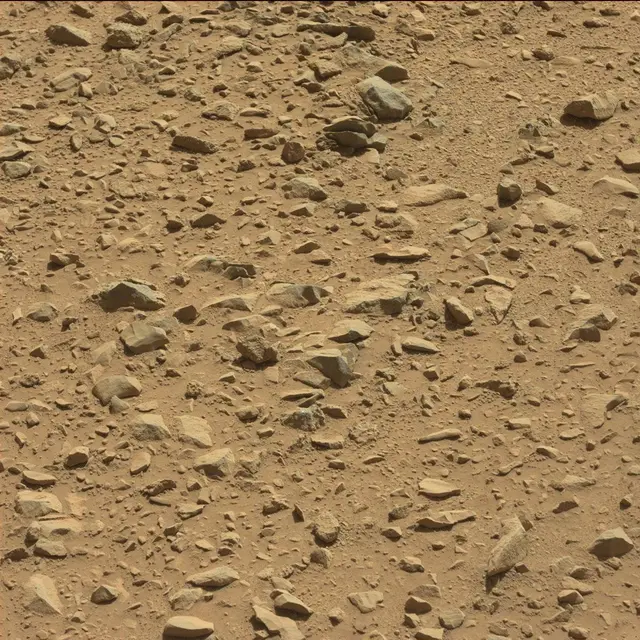 Sol 494: Mast Camera (Mastcam)