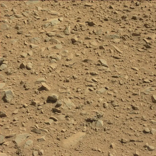 Sol 494: Mast Camera (Mastcam)