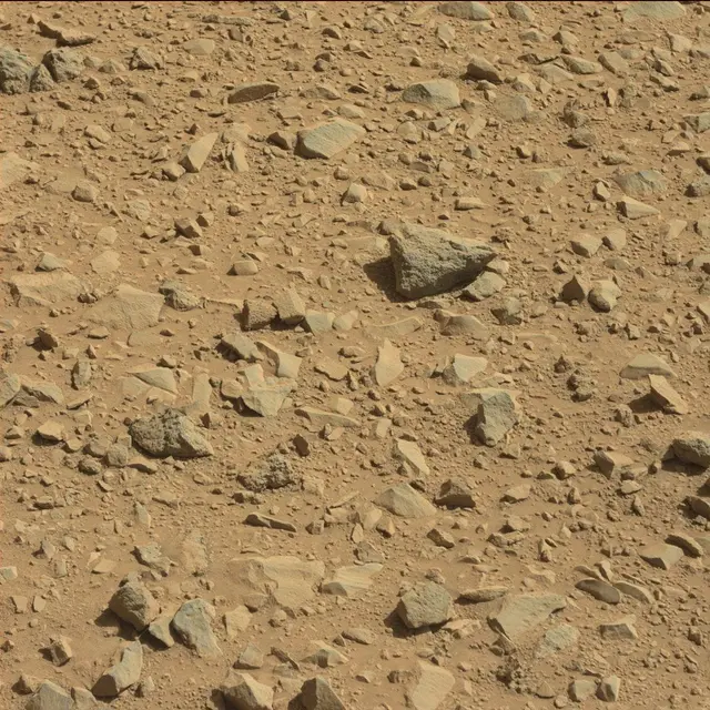 Sol 494: Mast Camera (Mastcam)