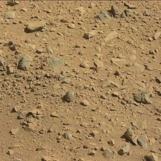 Sol 494: Mast Camera (Mastcam)