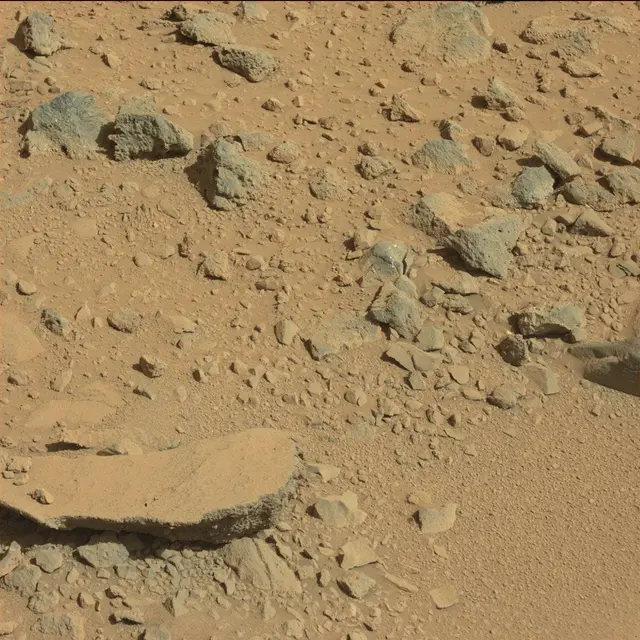 Sol 494: Mast Camera (Mastcam)