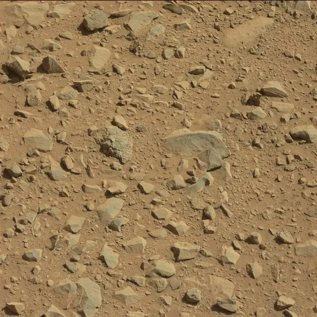 Sol 494: Mast Camera (Mastcam)