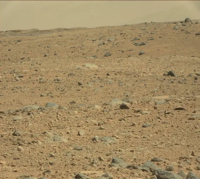 Sol 494: Mast Camera (Mastcam)