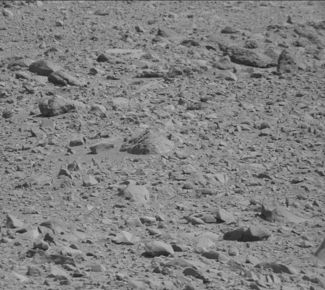 Sol 494: Mast Camera (Mastcam)