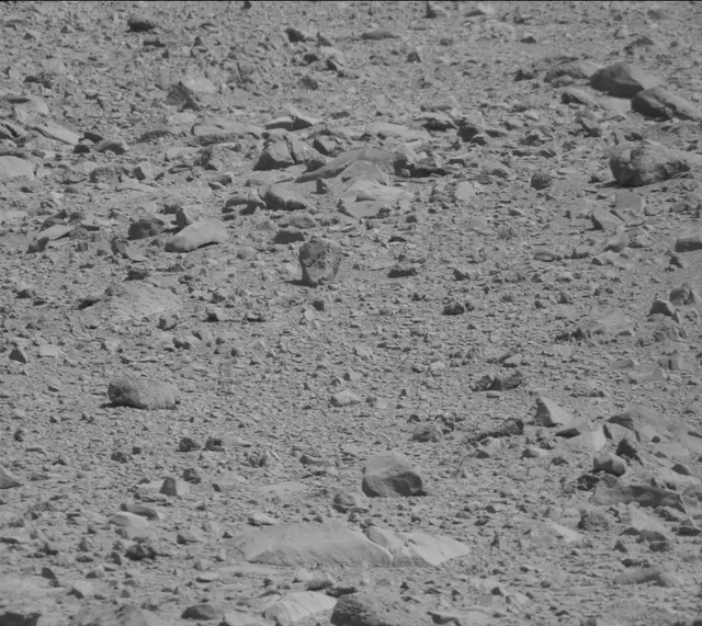 Sol 494: Mast Camera (Mastcam)