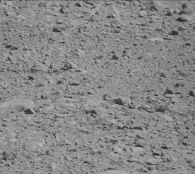 Sol 494: Mast Camera (Mastcam)