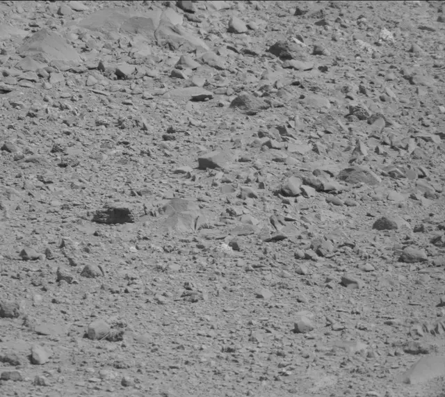 Sol 494: Mast Camera (Mastcam)