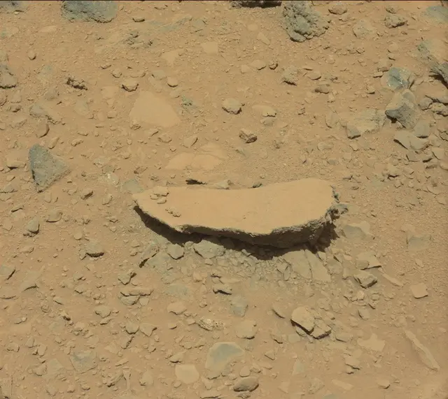 Sol 503: Mast Camera (Mastcam)