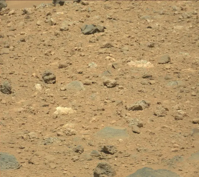 Sol 503: Mast Camera (Mastcam)