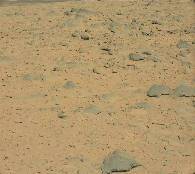Sol 504: Mast Camera (Mastcam)