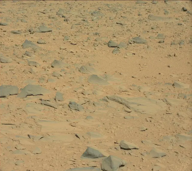 Sol 504: Mast Camera (Mastcam)