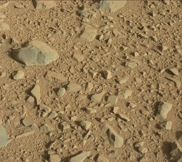Sol 504: Mast Camera (Mastcam)