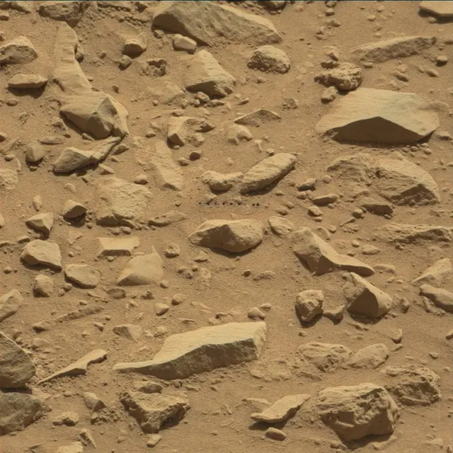 Sol 505: Mast Camera (Mastcam)