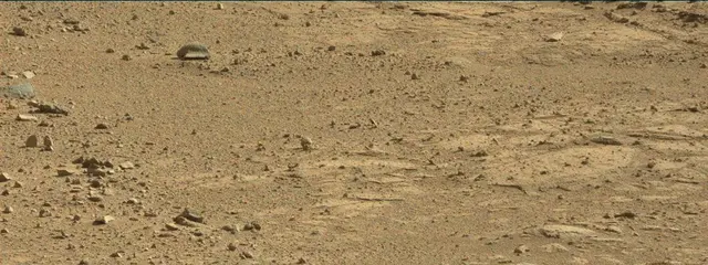 Sol 508: Mast Camera (Mastcam)