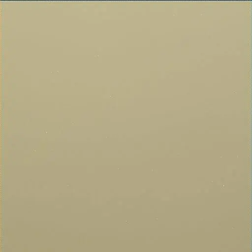Sol 1629: Mast Camera (Mastcam)
