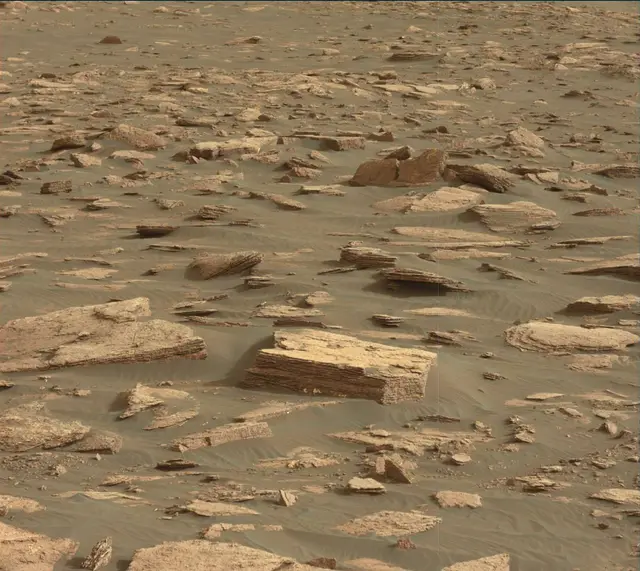 Sol 1630: Mast Camera (Mastcam)