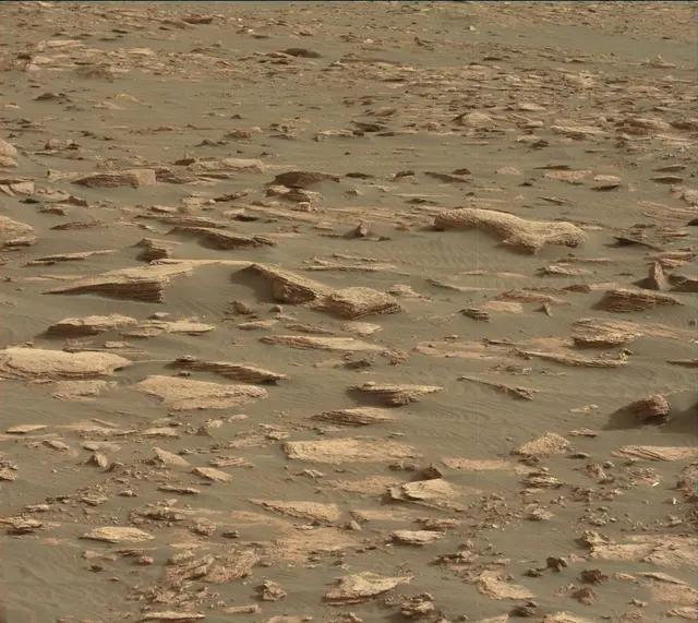 Sol 1630: Mast Camera (Mastcam)