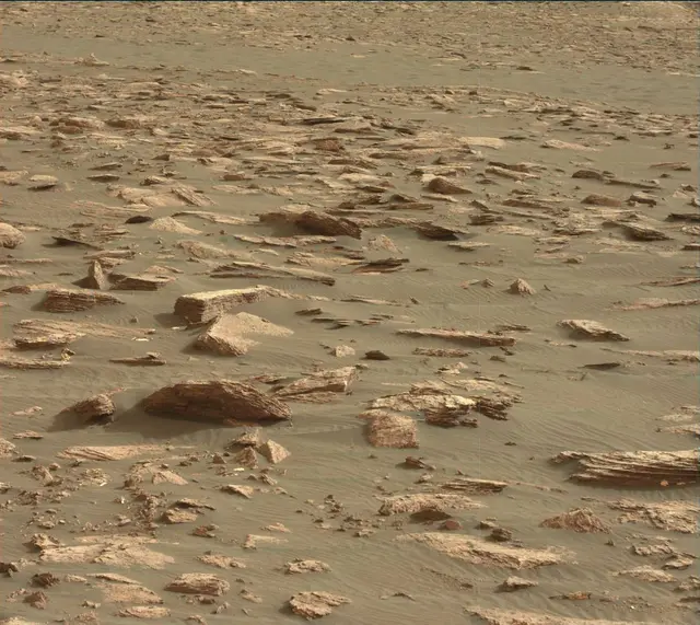 Sol 1630: Mast Camera (Mastcam)