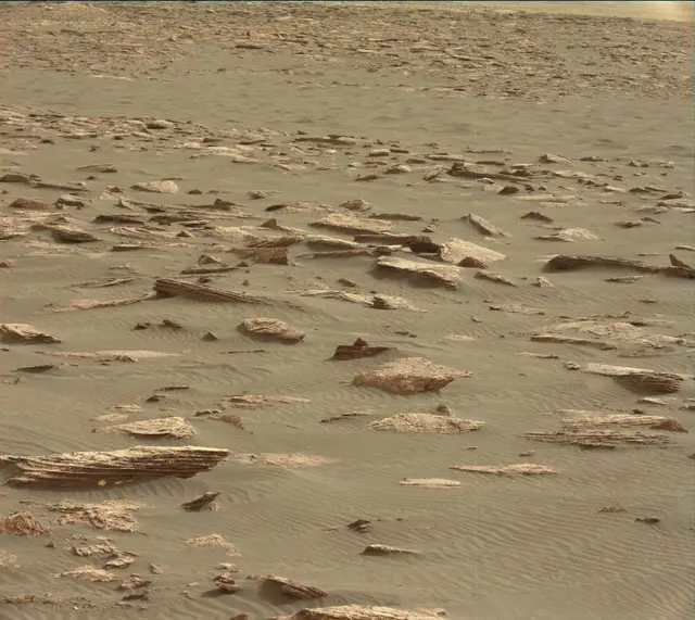 Sol 1630: Mast Camera (Mastcam)