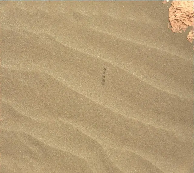 Sol 1630: Mast Camera (Mastcam)