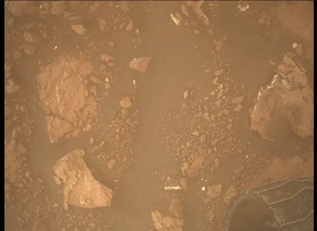 Sol 1631: Mars Descent Imager (MARDI)