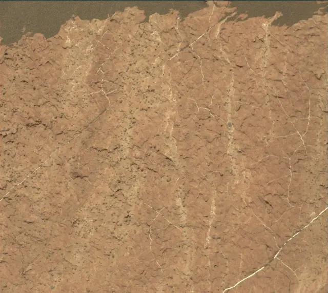 Sol 1634: Mast Camera (Mastcam)