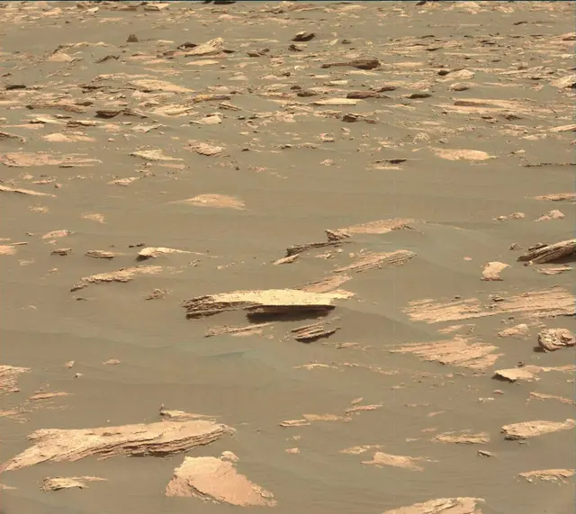 Sol 1635: Mast Camera (Mastcam)