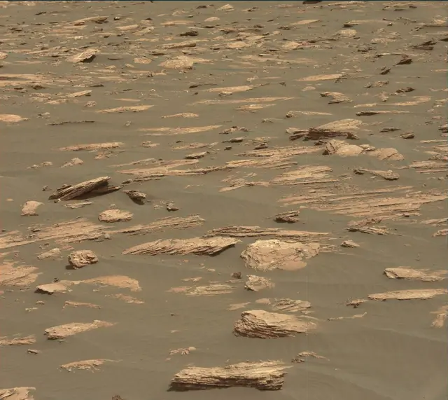 Sol 1635: Mast Camera (Mastcam)