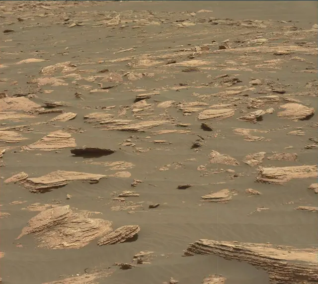 Sol 1635: Mast Camera (Mastcam)