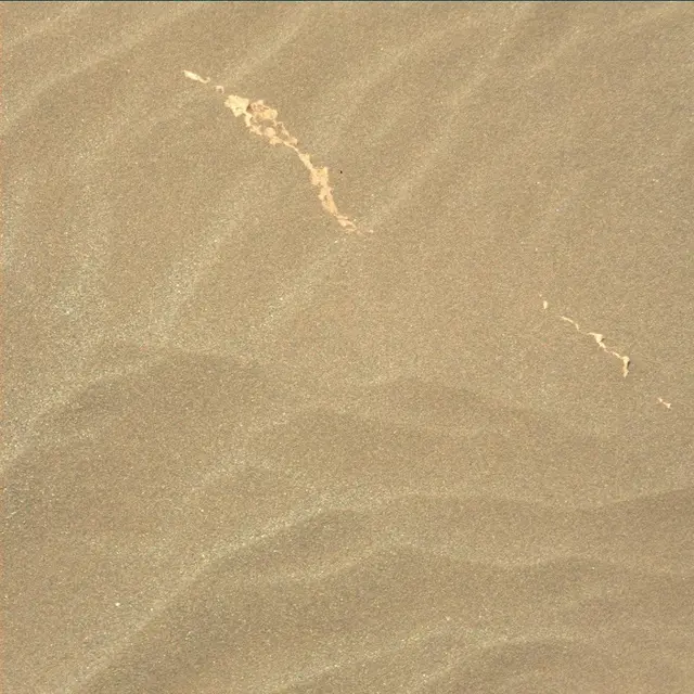 Sol 1635: Mast Camera (Mastcam)
