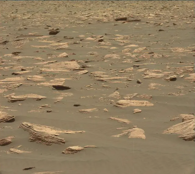 Sol 1636: Mast Camera (Mastcam)