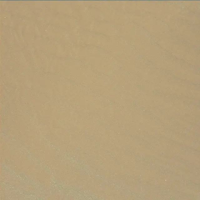Sol 1636: Mast Camera (Mastcam)