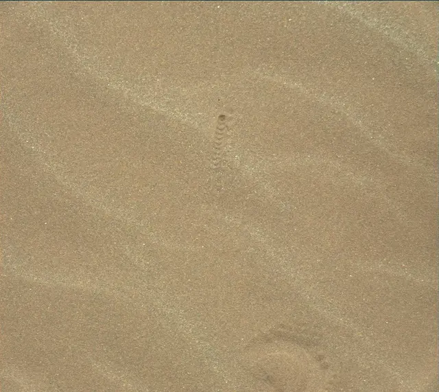 Sol 1638: Mast Camera (Mastcam)