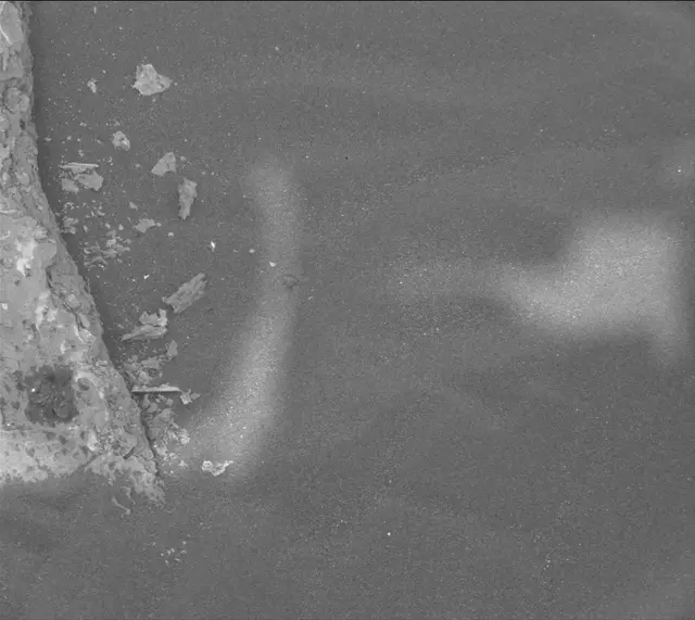 Sol 1639: Mast Camera (Mastcam)