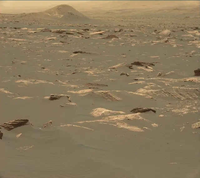 Sol 1642: Mast Camera (Mastcam)