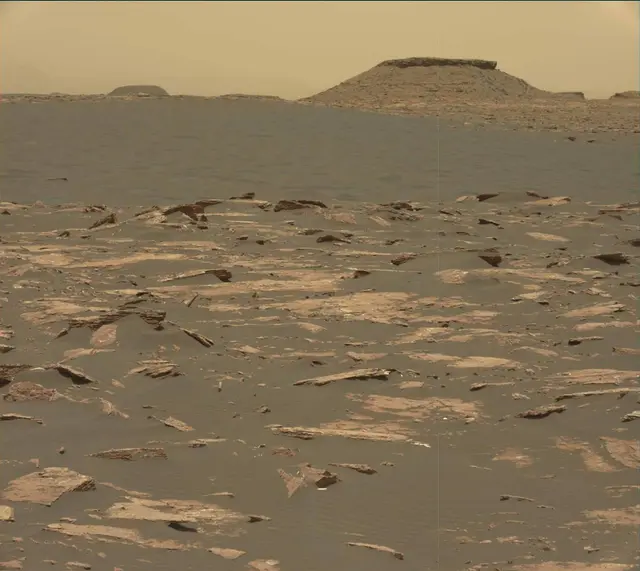 Sol 1643: Mast Camera (Mastcam)